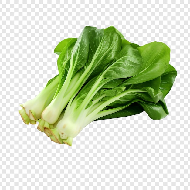 Fresh bok choy isolated on transparent background