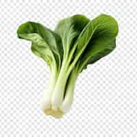 Free PSD fresh bok choy isolated on transparent background