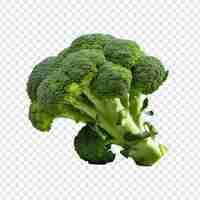 Free PSD fresh broccoli isolated on transparent background