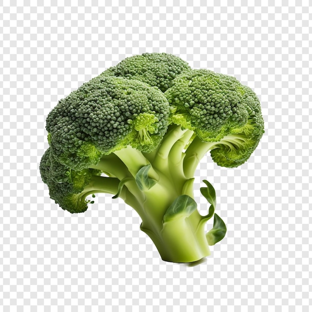 Free PSD fresh broccoli isolated on transparent background