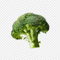 Free PSD fresh broccoli isolated on transparent background