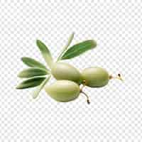 Free PSD fresh caperberries isolated on transparent background