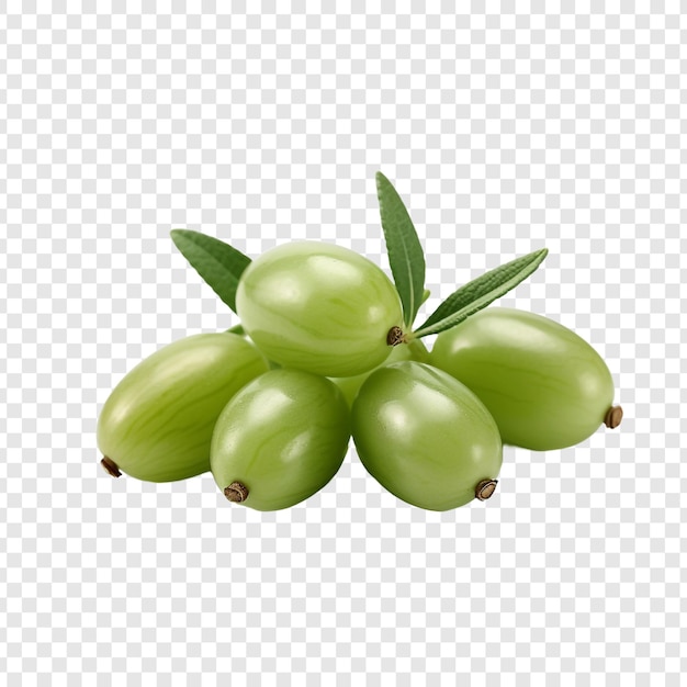 Free PSD fresh caperberries isolated on transparent background