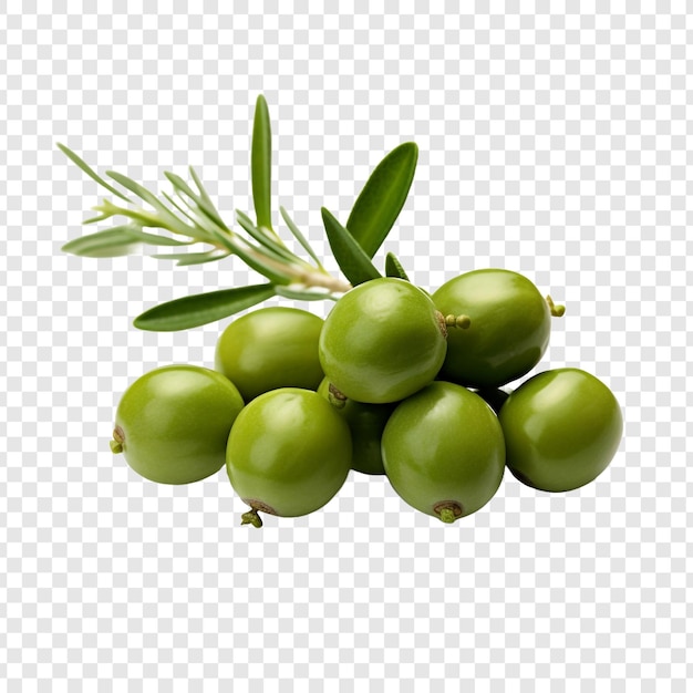 Fresh caperberries isolated on transparent background