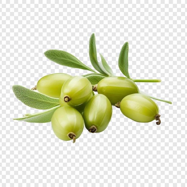Free PSD fresh caperberries isolated on transparent background