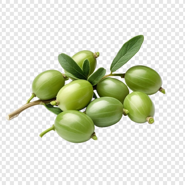 Fresh caperberries isolated on transparent background