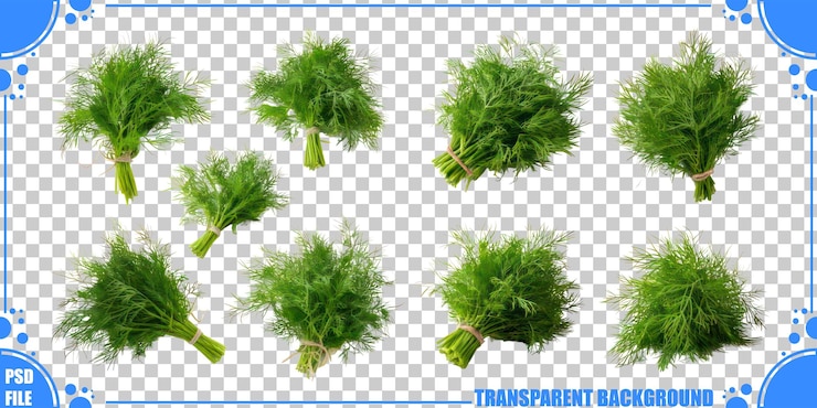 Free PSD fresh green herb bundles on transparent background