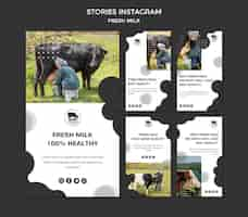 PSD gratuito storie di instagram di latte fresco