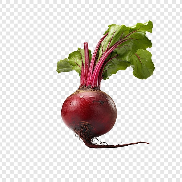 Fresh red beet png isolated on transparent background