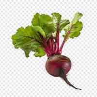 Free PSD fresh red beet png isolated on transparent background