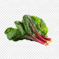 Free PSD fresh swiss chard vegetable png isolated on transparent background