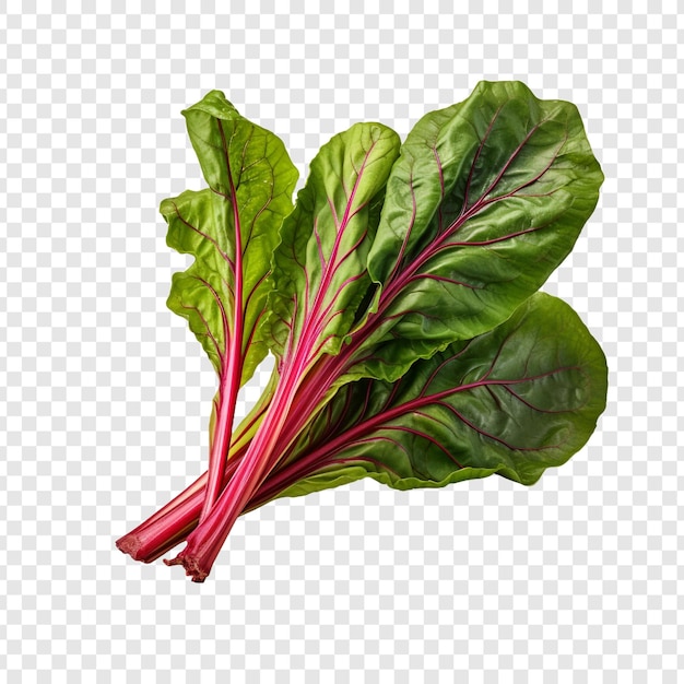 Free PSD fresh swiss chard vegetable png isolated on transparent background