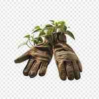 Free PSD gardening gloves isolated on transparent background