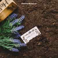 Free PSD gardening mockup with card