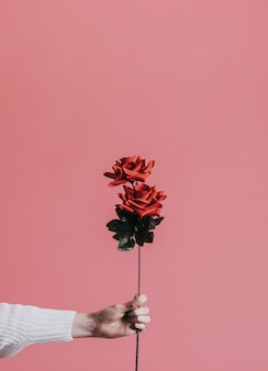Дарить розу на день святого валентина