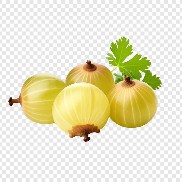 Free PSD gooseberry isolated on transparent background