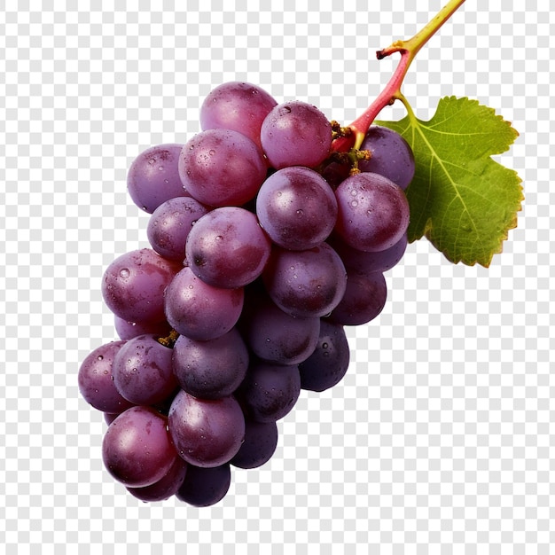 Виноградные плоды, изолированные на прозрачном фоне