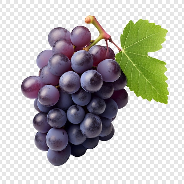 PSD gratuito uva isolata su sfondo trasparente