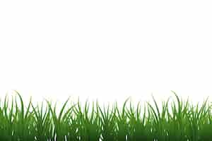 Free PSD grass border isolated