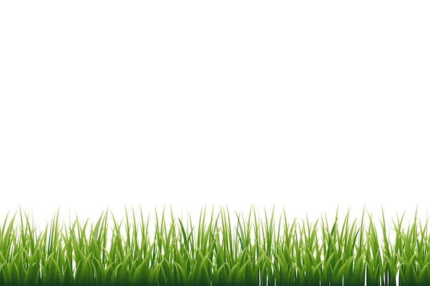 Free PSD grass border isolated