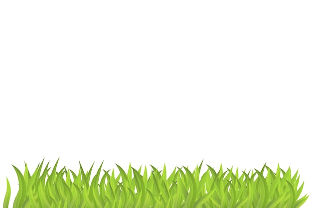 Grass illustration isolated