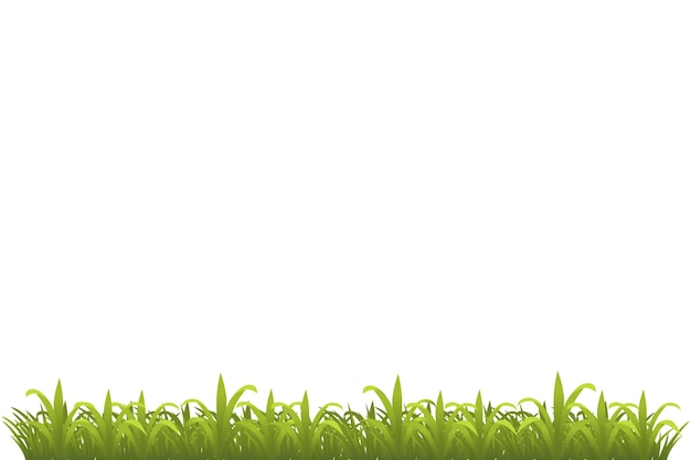 grass illustration isolated