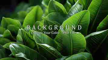 Free PSD green leaves background tropical leaves pattern exotic nature backdrop