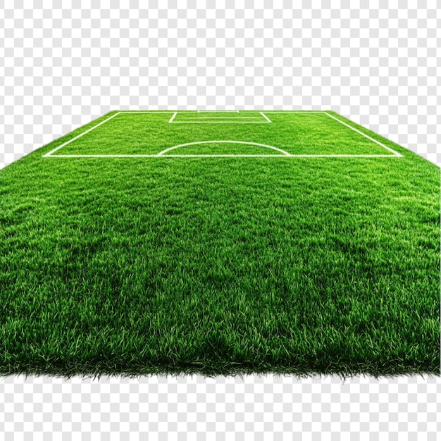 緑豊かなサッカー場 完璧なピッチ