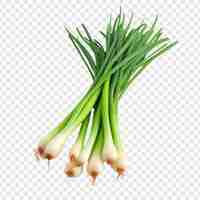 Free PSD green onions isolated on transparent background