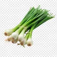 Free PSD green onions isolated on transparent background