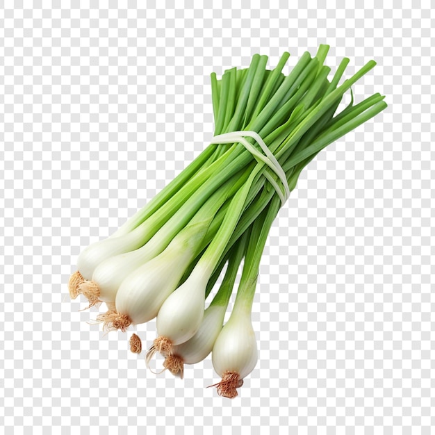 Free PSD green onions isolated on transparent background