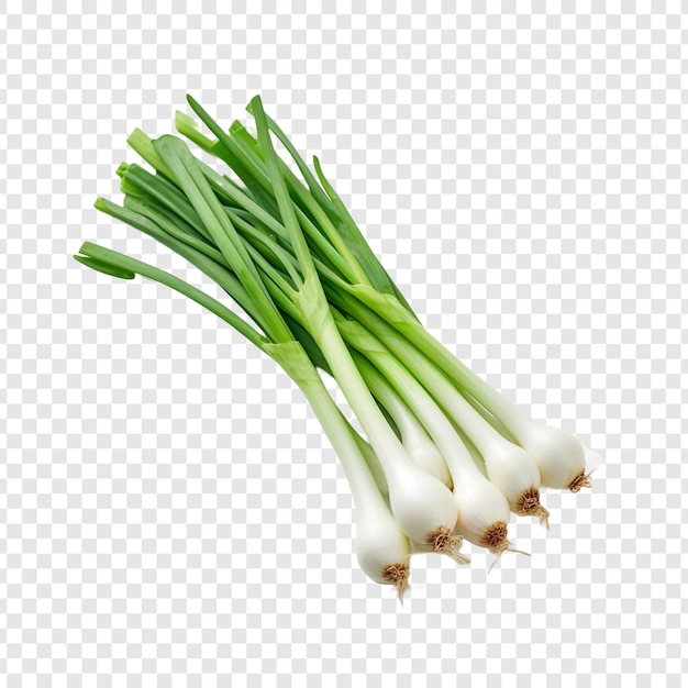 Free PSD green onions isolated on transparent background