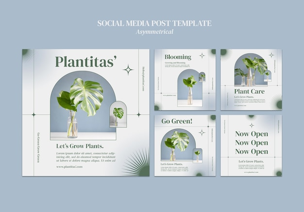 Growing plants social media post template Free Psd