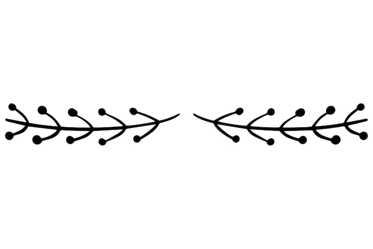 Free PSD hand drawn ornament divider illustration