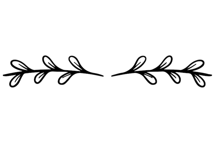 Free PSD hand drawn ornament divider illustration