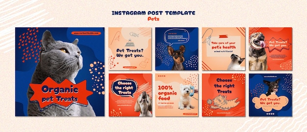 Free PSD hand drawn pets care  instagram posts