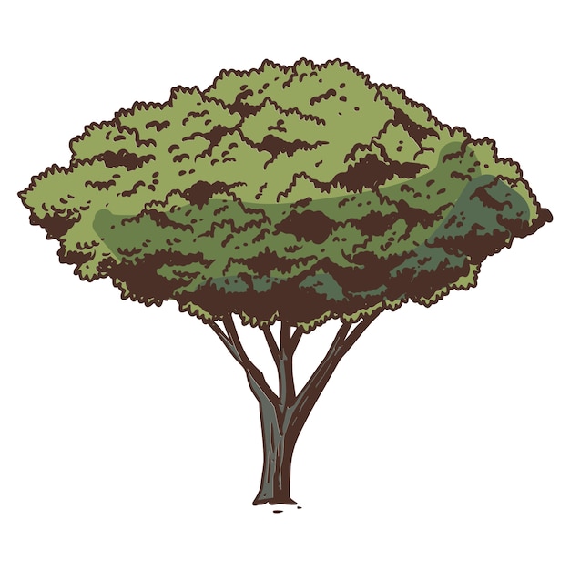手描きの木のイラストを孤立させた