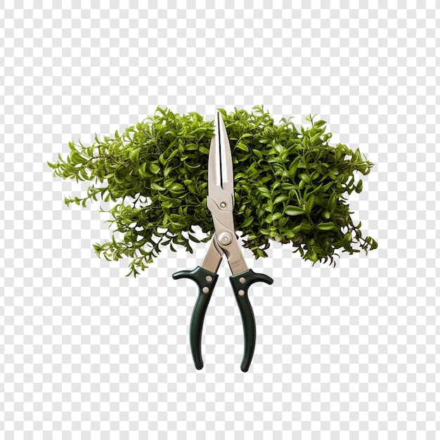 Free PSD hedge shears flower isolated on transparent background