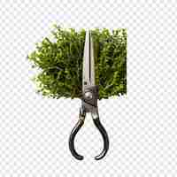 Free PSD hedge shears flower isolated on transparent background