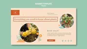 Free PSD home interior plants banner template