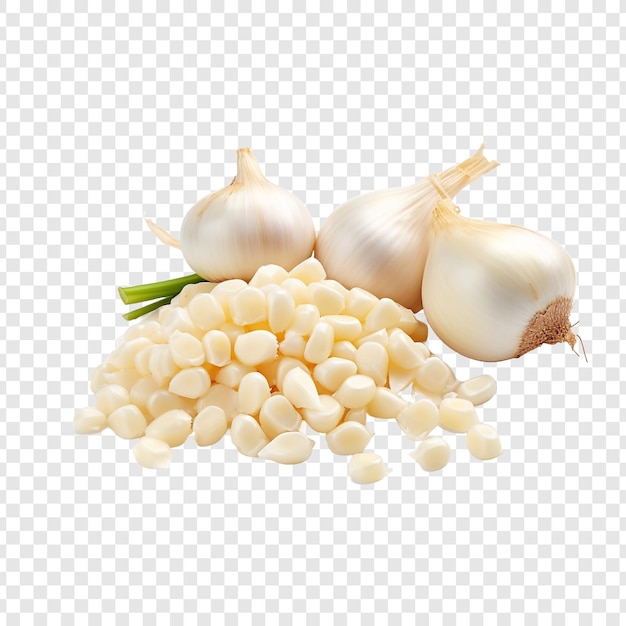 Hominy isolated on transparent background