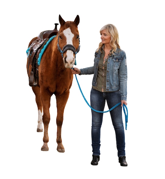 Free PSD horse ready for equestrianism isolated