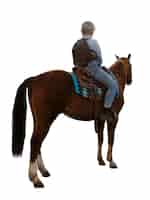 Free PSD horse ready for equestrianism isolated
