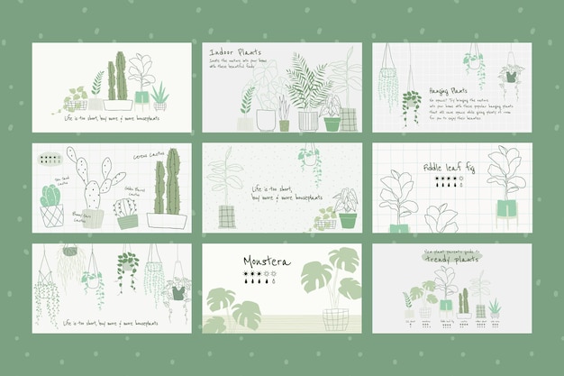 Набор psd ботанических шаблонов комнатных растений для баннера блога