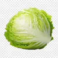 Free PSD iceberg lettuce isolated on transparent background