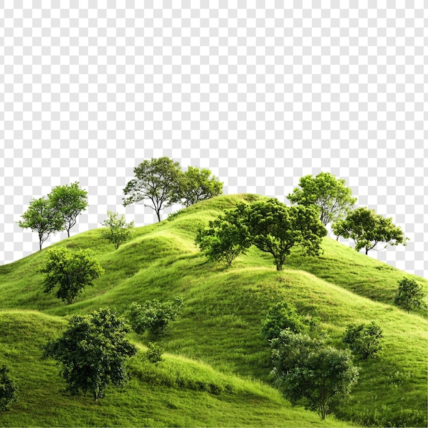 이들릭 그린 힐스케이프 (Idyllic Green Hillscape) - 활기차고 푸른 식물 과 웅장 한 나무 들 으로 장식 된 울창 한 언덕 들 의 조용 한 풍경