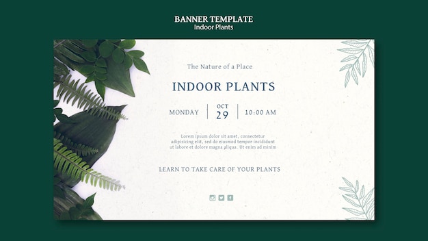 Free PSD indoor plants banner template