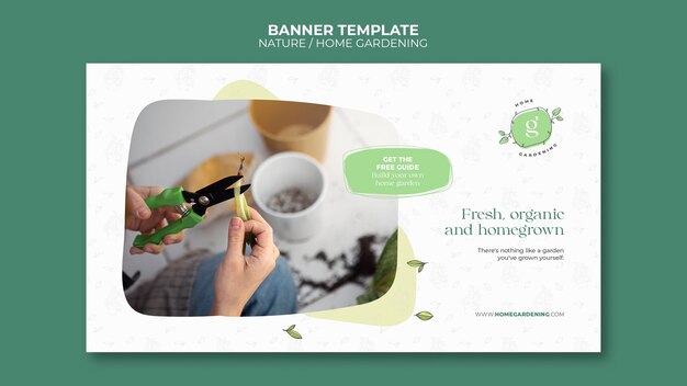 Indoor potted plants cultivation and care horizontal banner template