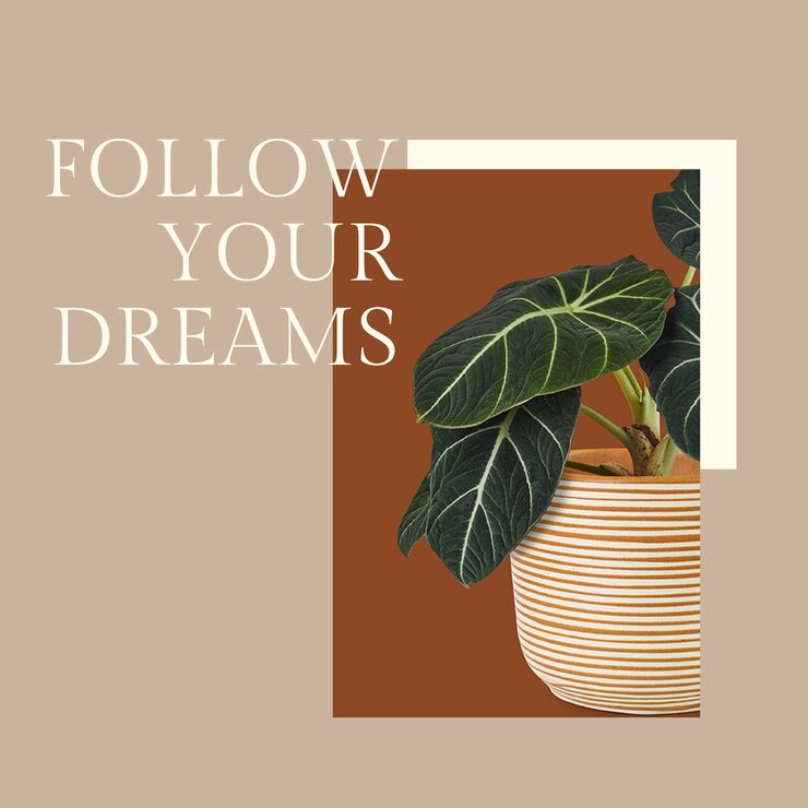 Free PSD inspirational quote botanical template psd with plant follow your dreams social media post in minimal style