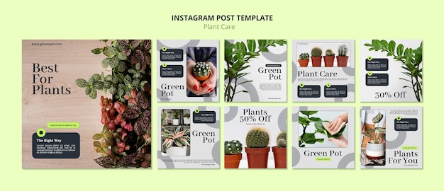 無料PSD 植物ケアのためのinstagram投稿コレクション